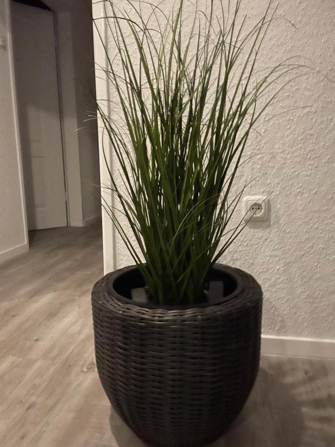 Haus Mariechen Daire Hooksiel Dış mekan fotoğraf